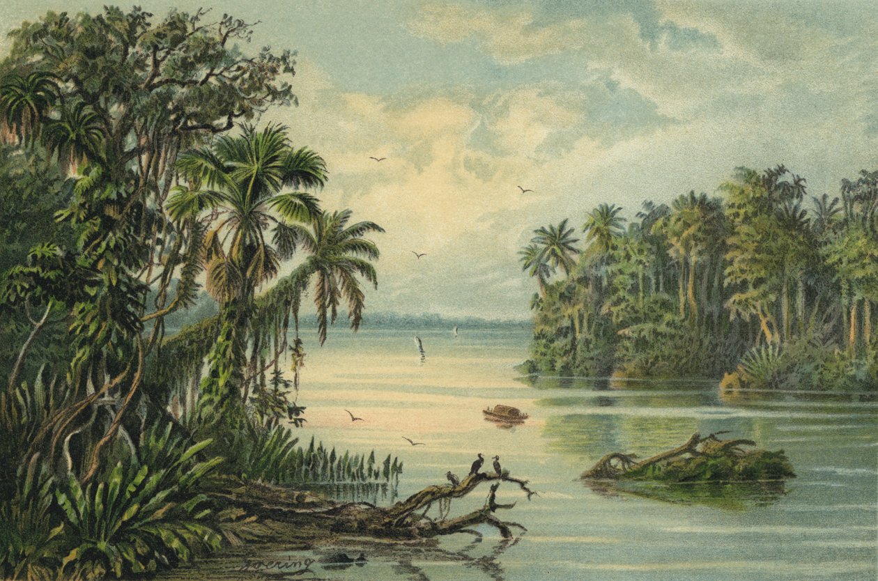 Mejores Litografías en Amazonas